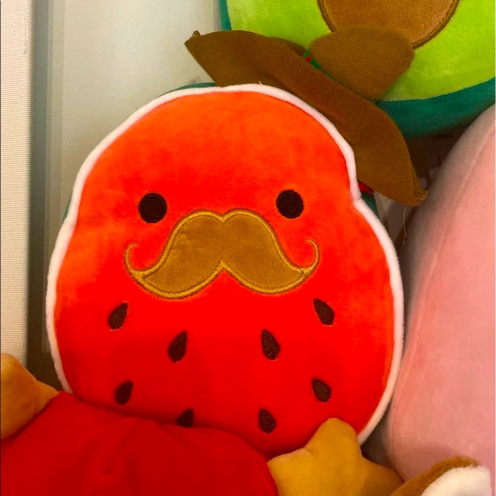 Arturo Watermelon Squishmallow 8in